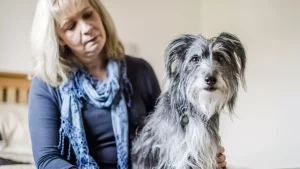Emotional Wellness Through Astronomy Finding Peace When Saying Goodbye to Your Pet