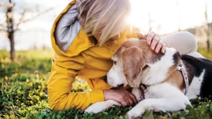 Tips for saying goodbye to a beloved pet